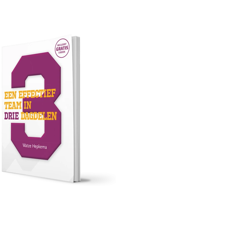 Een effectief team in 3 dagdelen 3d
