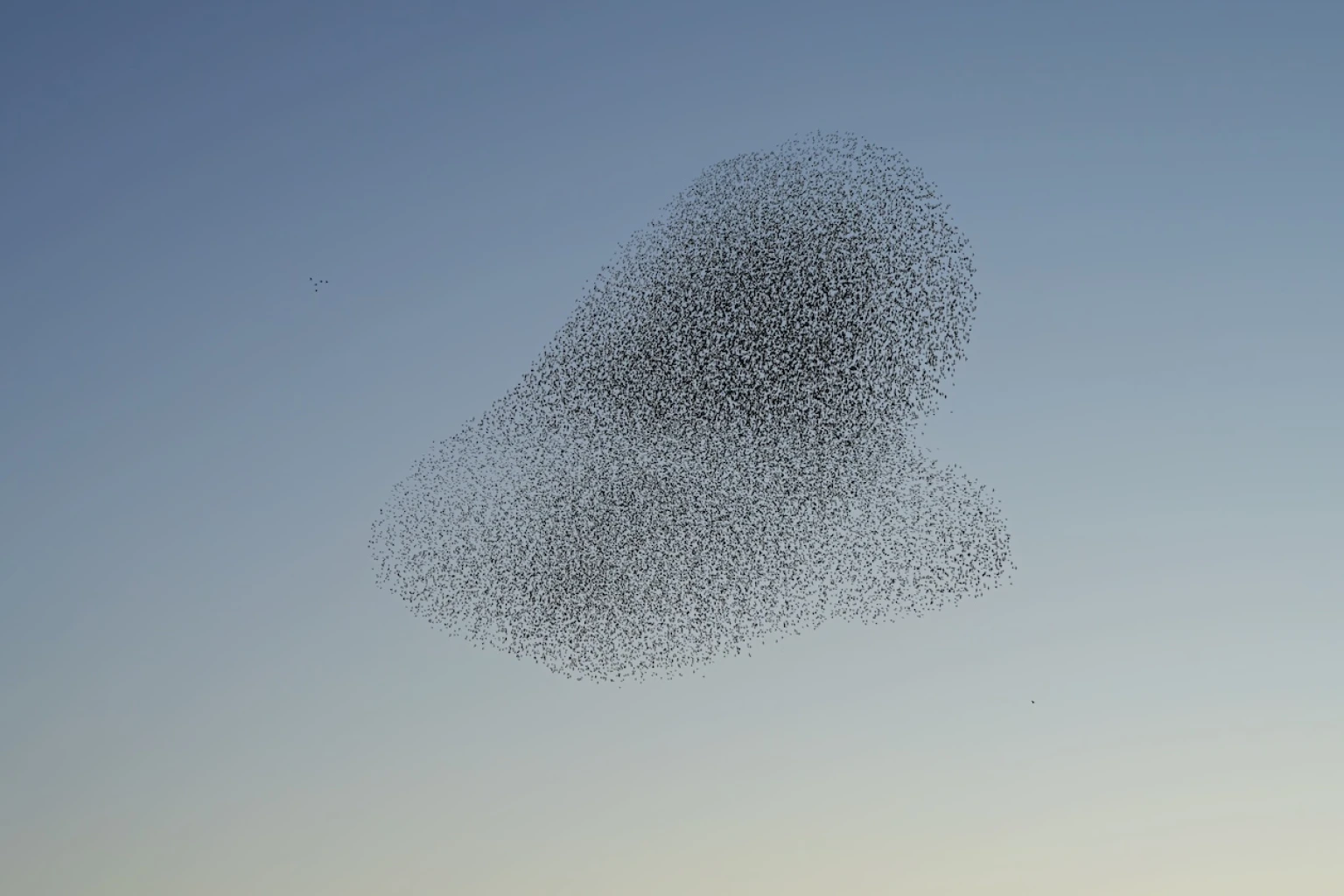 iStock 1285227311 resized